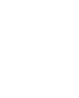 SprinT - DV